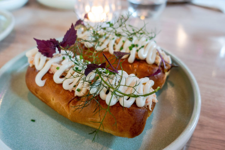 Concrete Jungle Cafe - MX Chronicles