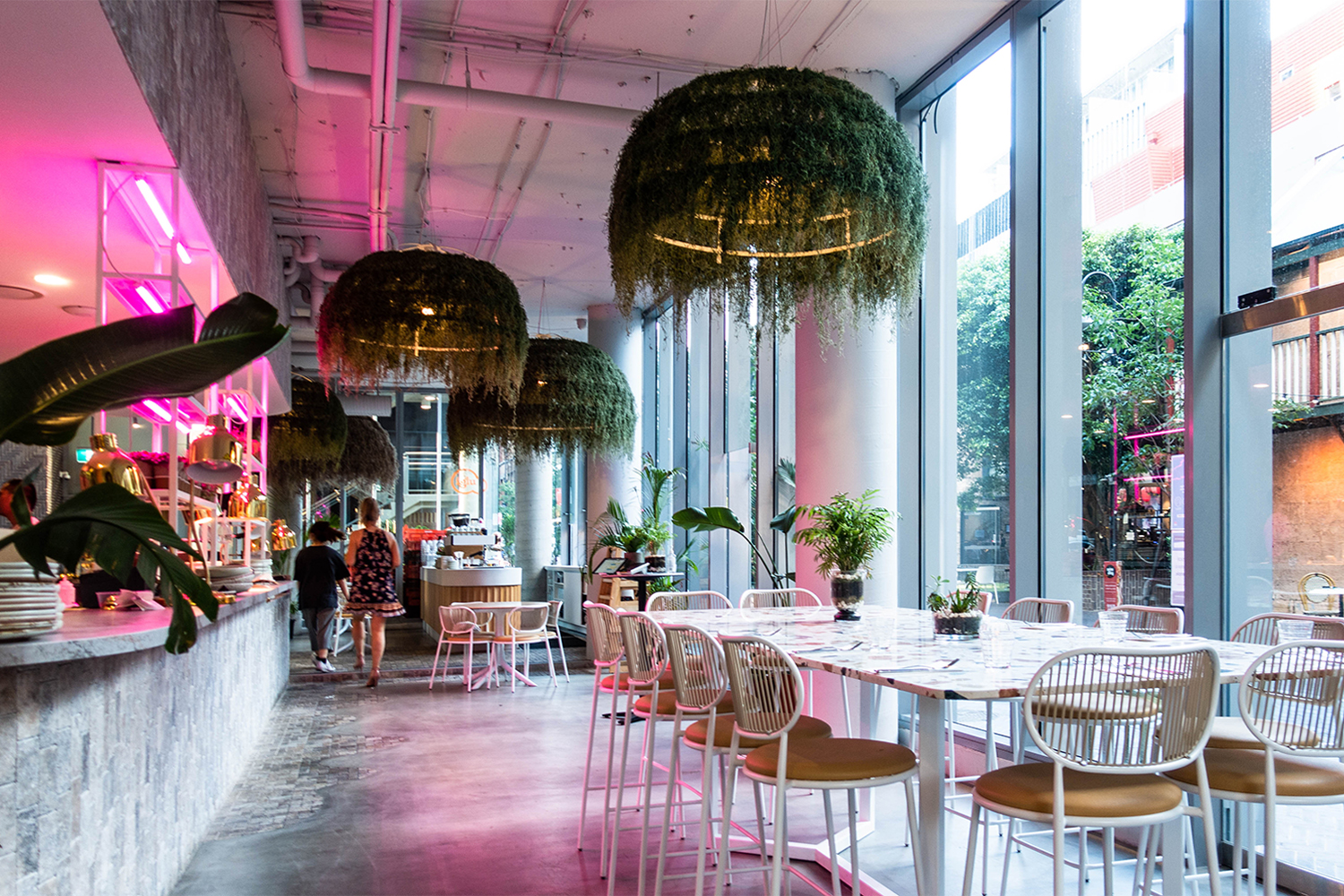 Concrete Jungle Cafe MX Chronicles