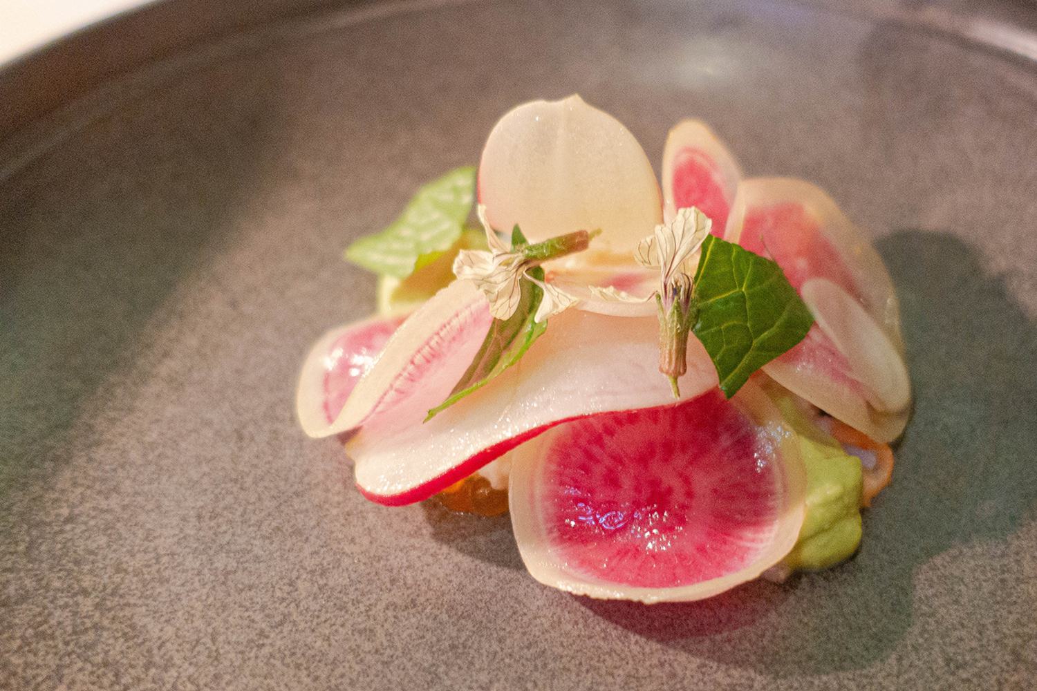 Aria Restaurant 2022 MX Chronicles