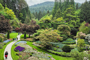 vancouverisland-13