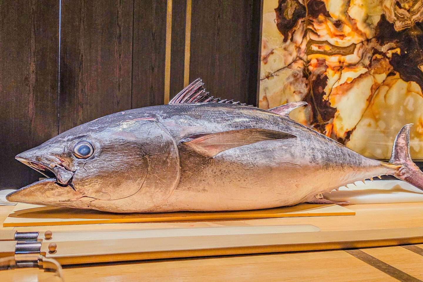 Warabi – Tuna Cutting 2026